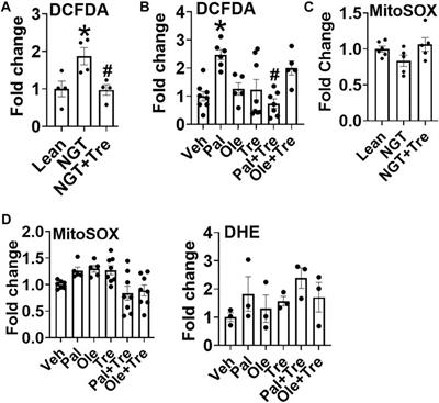 Obesity and Fatty Acids Promote Mitochondrial Translocation of STAT3 Through ROS-Dependent Mechanisms